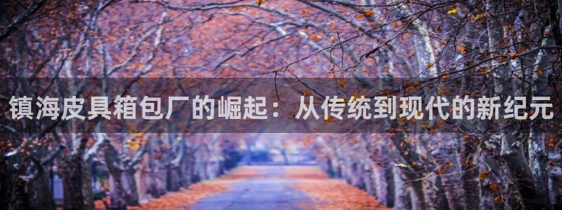 卧龙娱乐怎么注册新账号