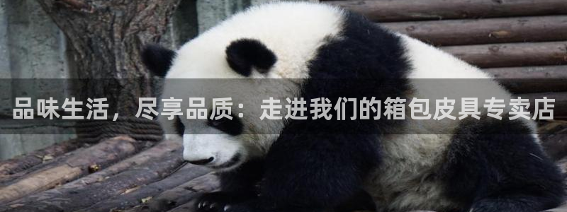 杏耀娱乐卧龙60447