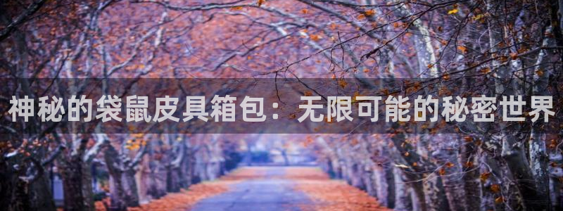 卧龙休闲娱乐优惠活动