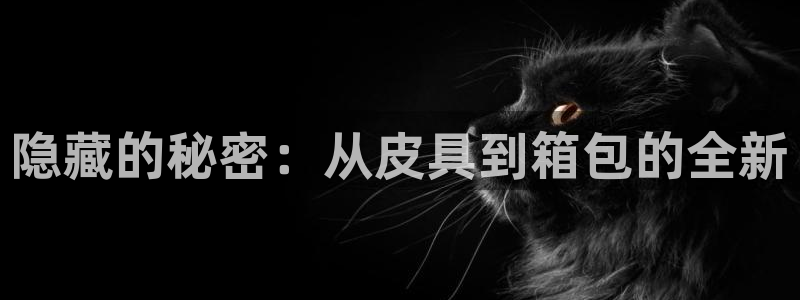 悉尼卧龙岗娱乐