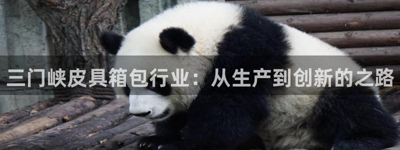 卧龙娱乐是什么