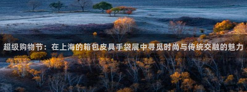 卧龙娱乐彩下载