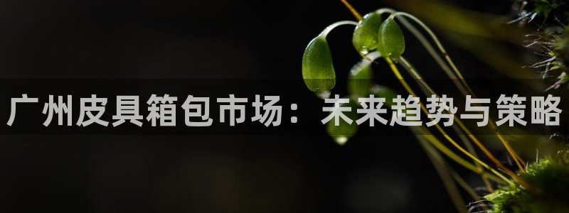 大娱乐家卧龙先生