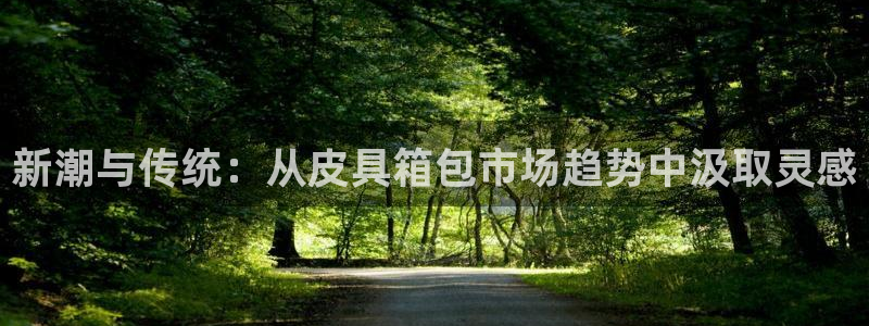 卧龙区维也纳娱乐会所