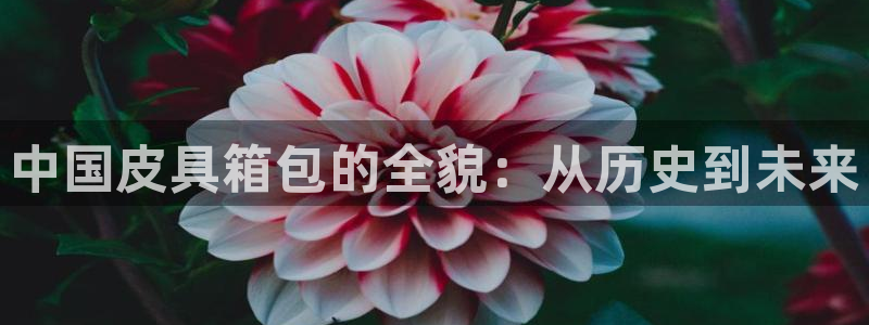 卧龙娱乐注册开户地址