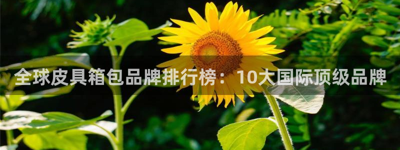 卧龙娱乐招商主管薪资