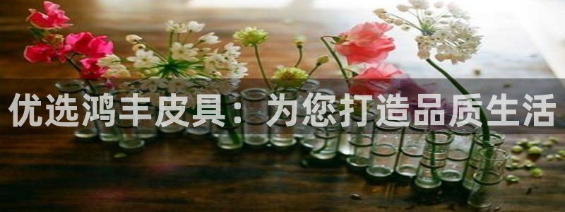 卧龙凤雏娱乐图