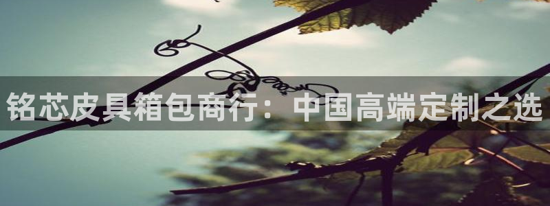 卧龙娱乐老板