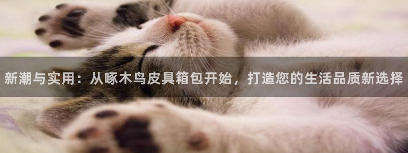 卧龙台球娱乐会所电话