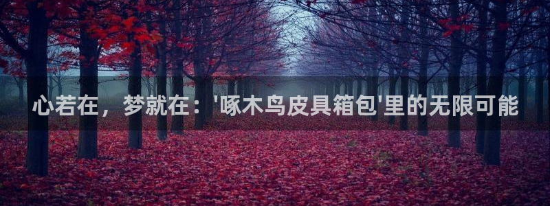 卧龙娱乐找382223