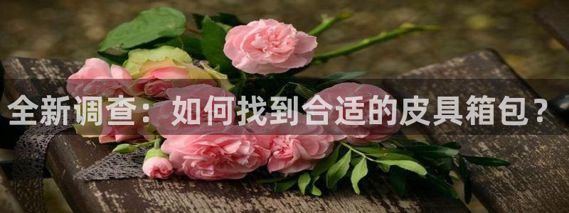 泰安卧龙大观娱乐中心