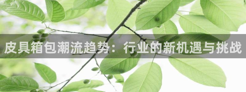 卧龙娱乐设备