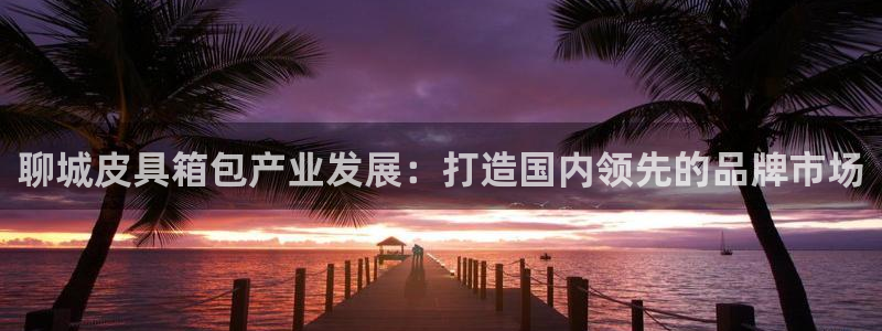 卧龙2神机娱乐注册