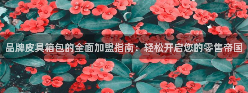 卧龙娱乐集团