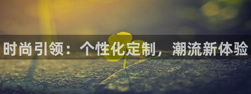 卧龙娱乐属于什么公司