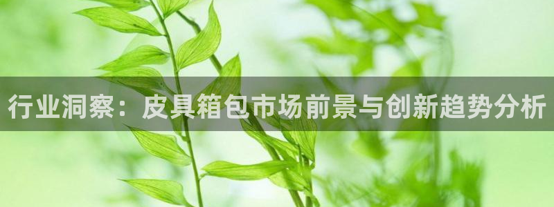 郑州卧龙娱乐王凯旋简历