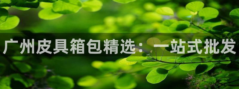 卧龙娱乐app下载安装