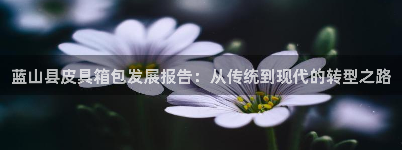 卧龙新款娱乐设备