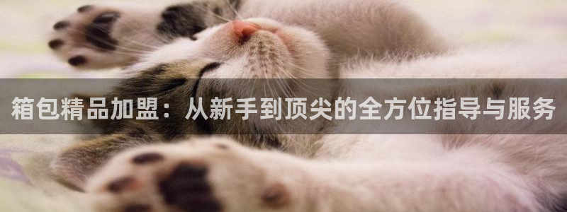 卧龙娱乐老板叫什么名子