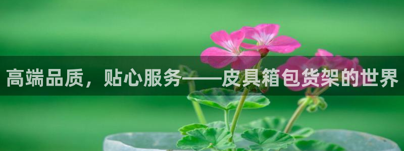 卧龙游乐娱乐设备