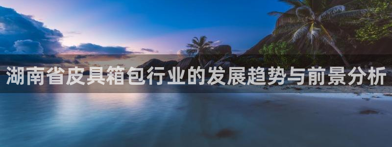 卧龙区维也纳娱乐会所