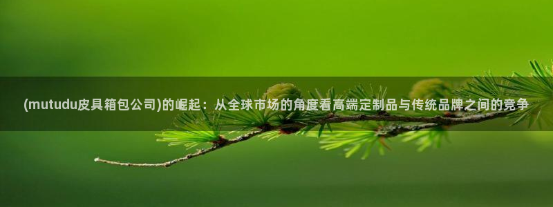 卧龙娱乐是什么意思