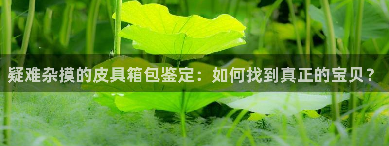 卧龙娱乐招商代理电话