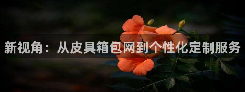 卧龙娱乐怎么不能注册