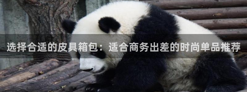 卧龙娱乐天7O667