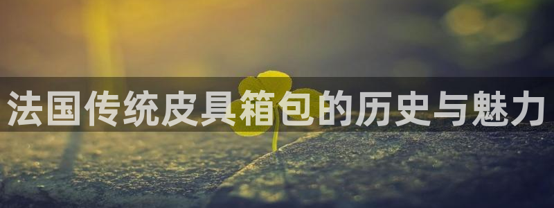 卧龙凤雏娱乐解说