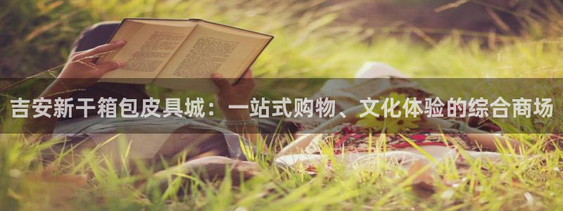 卧龙娱乐注册链接