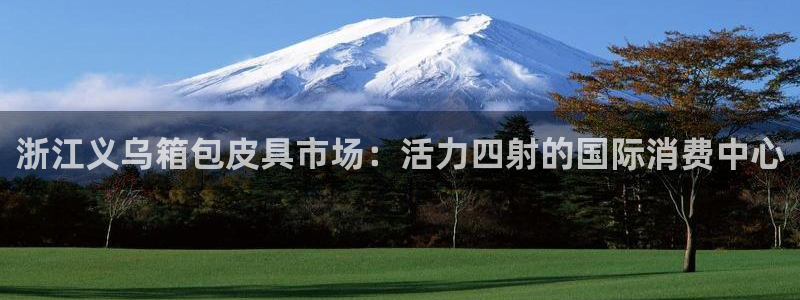 卧龙休闲娱乐收藏榜