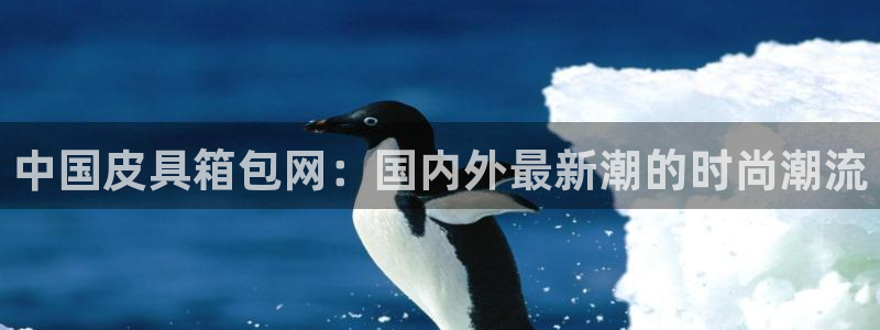 卧龙娱乐彩下载
