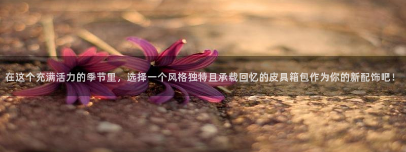 卧龙休闲娱乐推荐