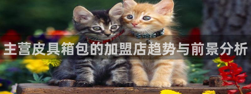 卧龙冲气娱乐设备