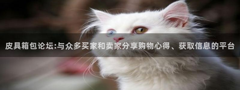 we娱乐 卧龙主管60447