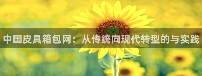 卧龙娱乐注册账号