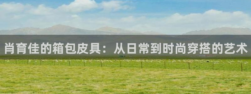 卧龙路凤凰娱乐