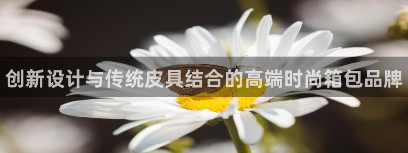 卧龙台球娱乐会所地址