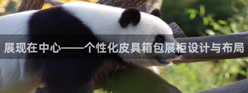 卧龙娱乐招商主管薪资