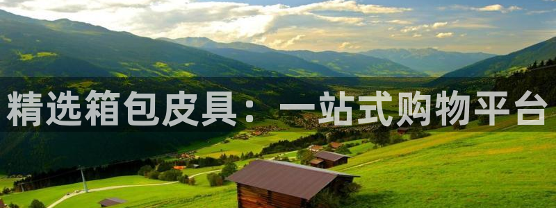 卧龙娱乐挂机平台官网