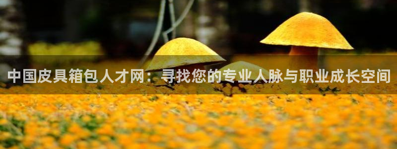 西安卧龙娱乐播报