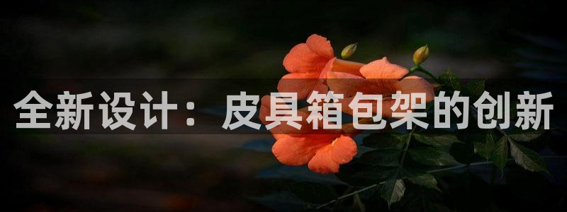 杏耀娱乐卧龙60447
