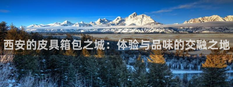 旗下卧龙娱乐