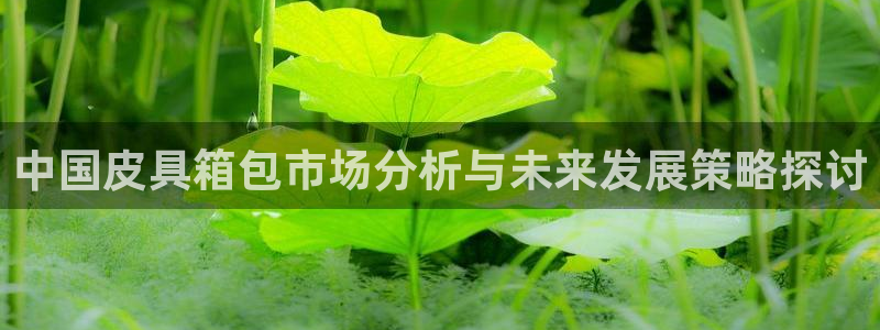 卧龙娱乐设备公司