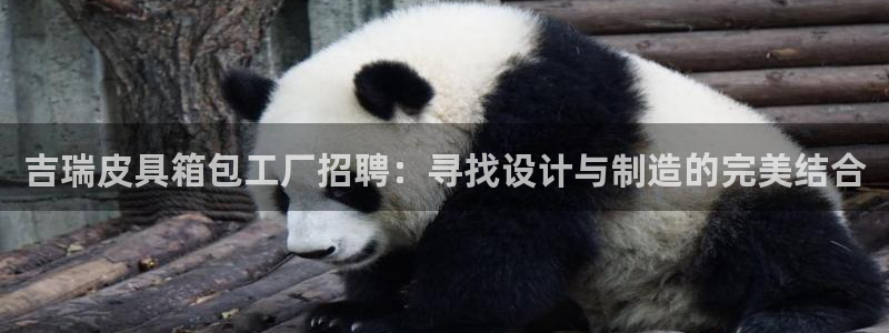 娱乐资讯君卧龙