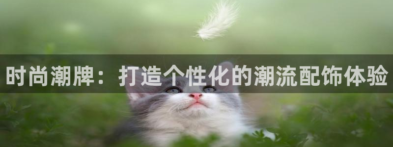 卧龙娱乐登录地址在哪