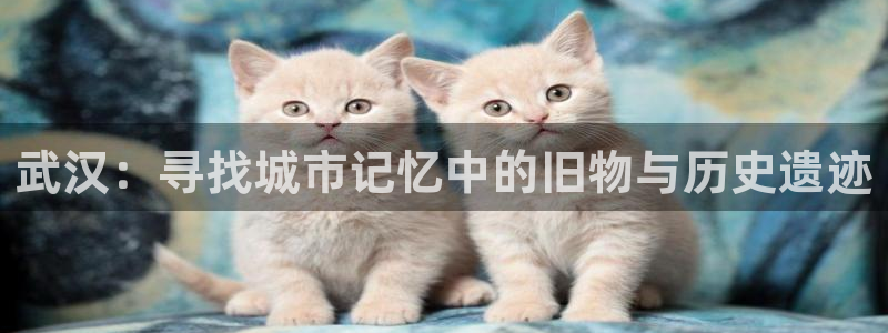 卧龙娱乐注册网址