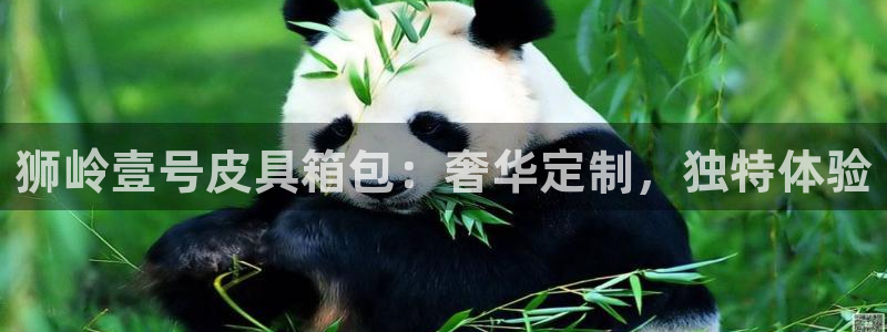 卧龙娱乐是真假吗