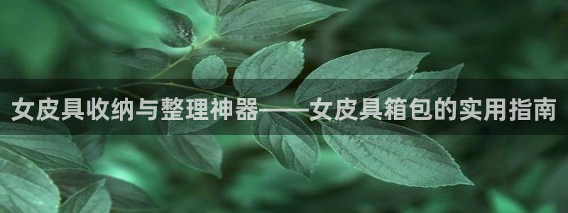 卧龙娱乐老板叫什么名子